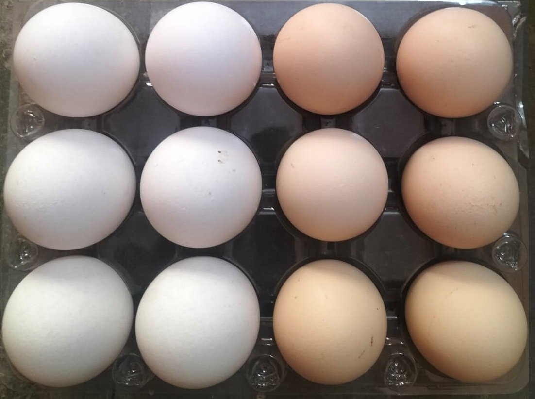 Healthy Daily 6 White Eggs + 6 Desi/Country Eggs