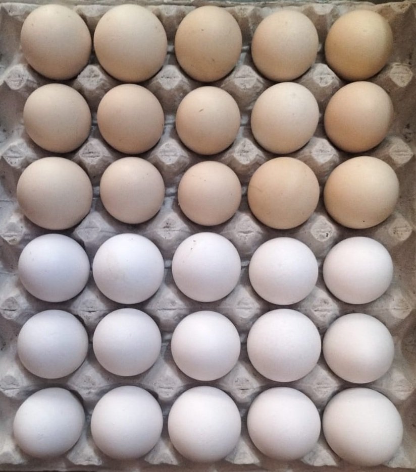 Healthy Daily 15 White Eggs + 15 Desi/Country Eggs