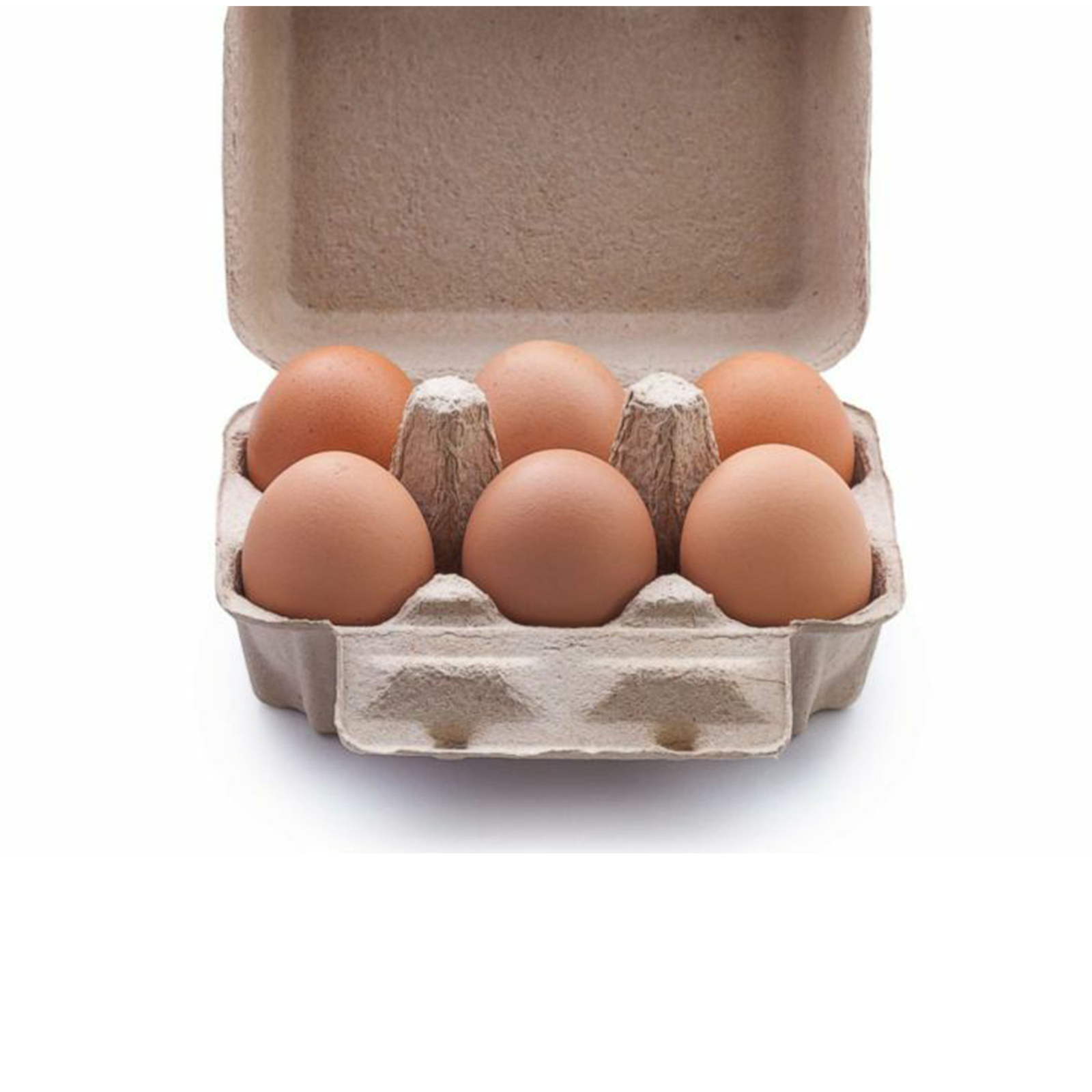 Healthy Daily Brown Eggs 6 pcs pack