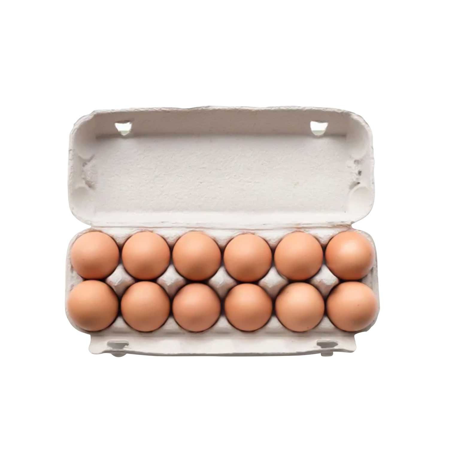 Healthy Daily Brown Eggs 12 pcs pack